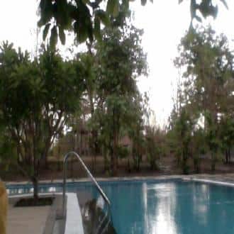 Mahua Vann Is A True Haven Of Tranquility, Chhindwara 4